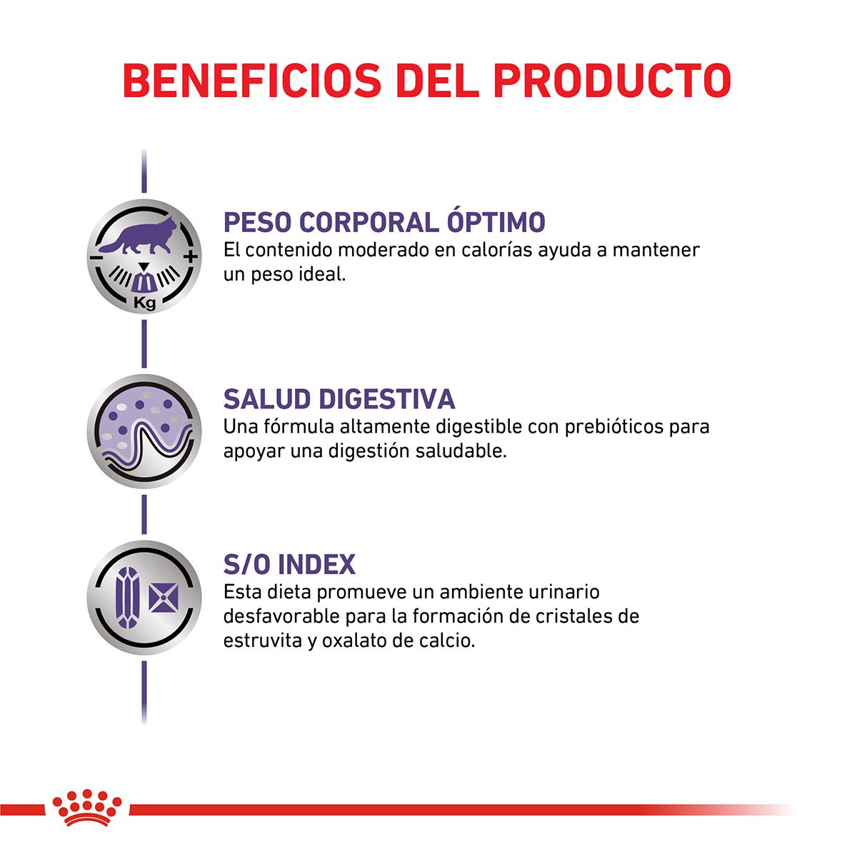 Gatos Castrados - Neutered Balance