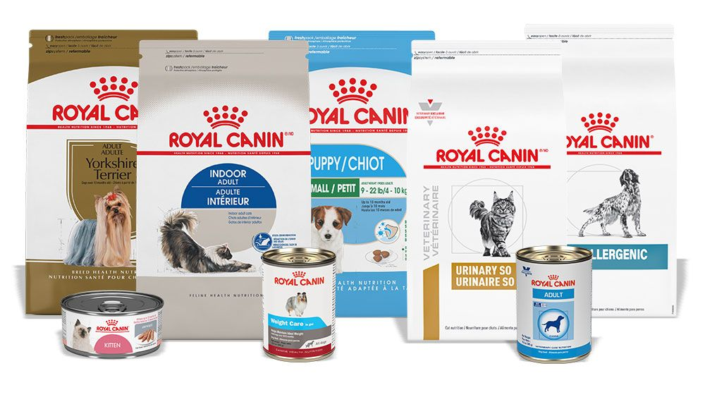 Productos para perro y gato