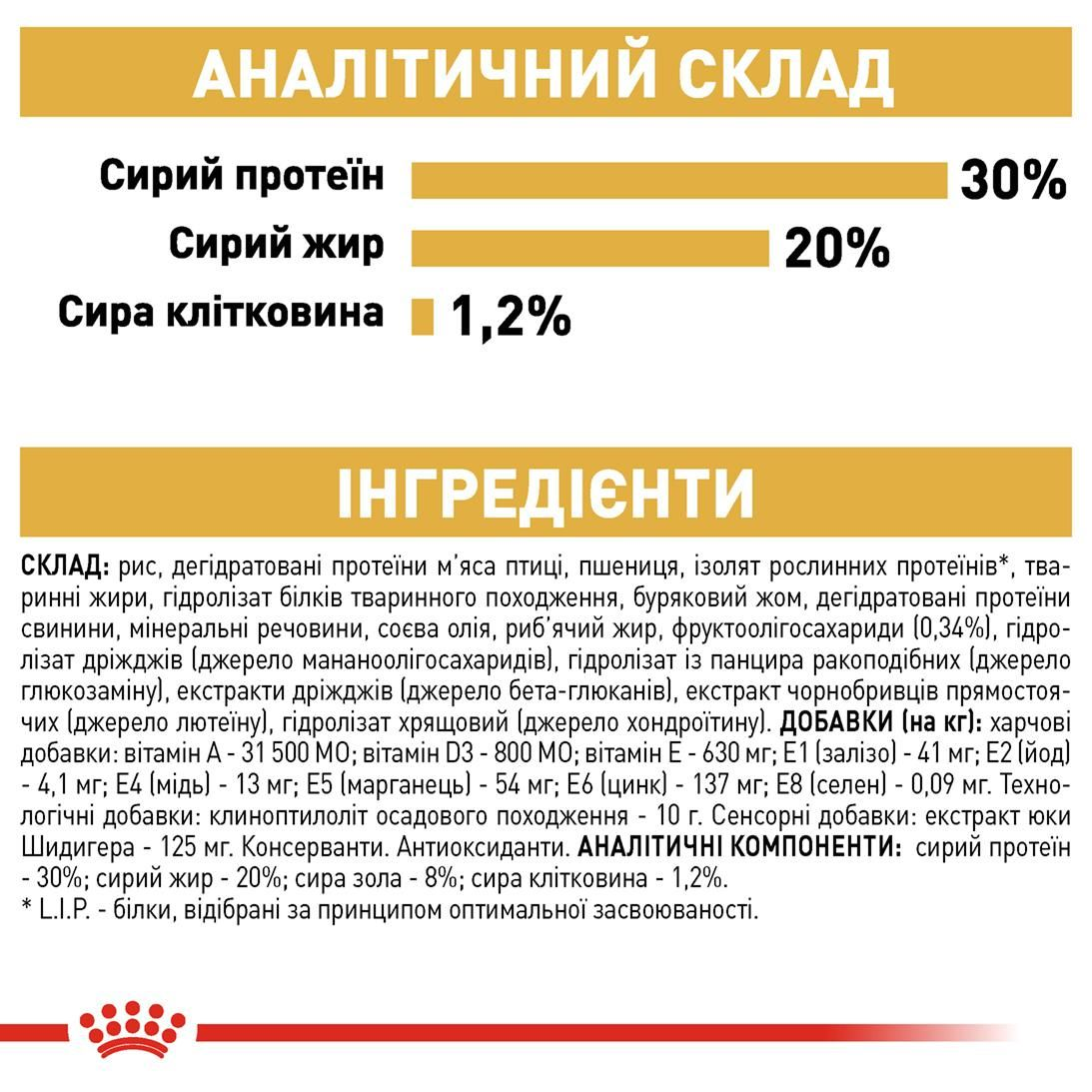 French Bulldog Puppy