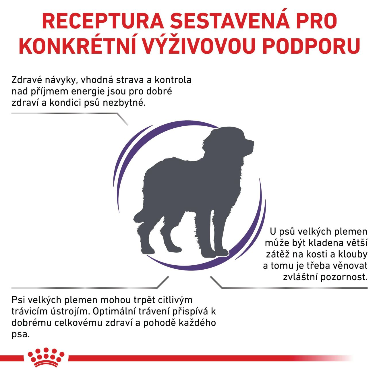 VHN  Adult large dog