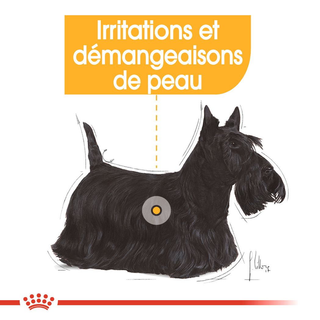 Dermacomfort Loaf (pâtée en sauce)