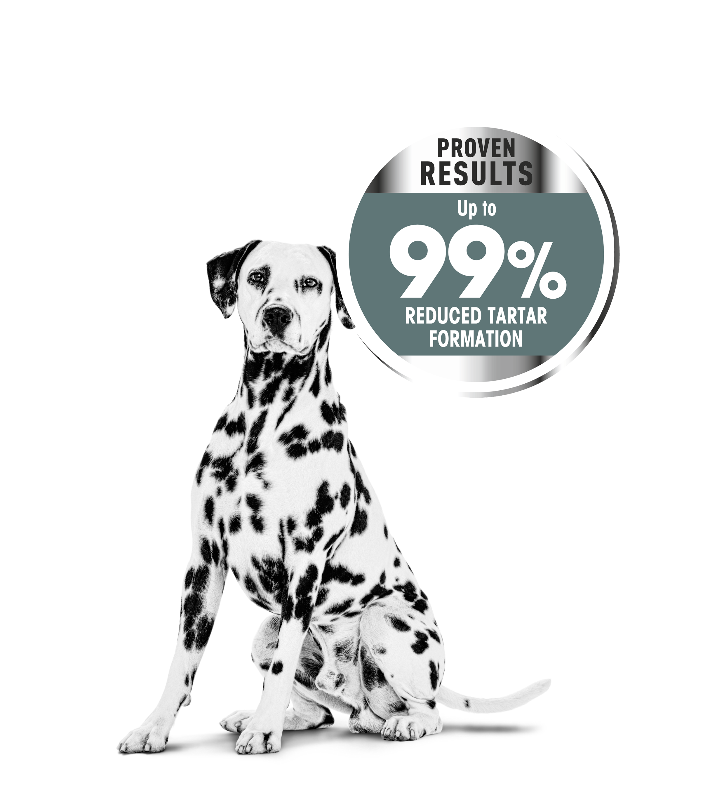 emblematic-medium-dental-dog-canine-care-nutrition