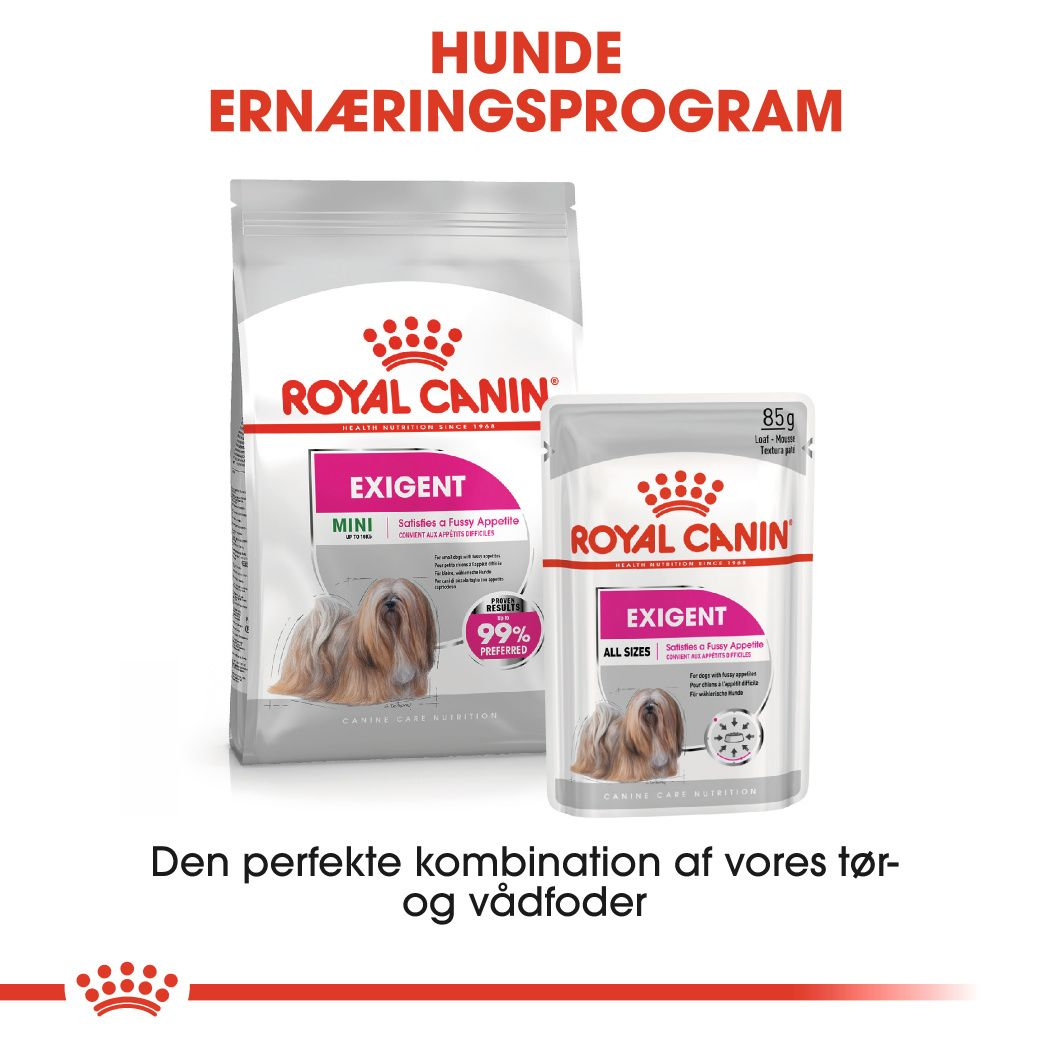 Mini Exigent Adult