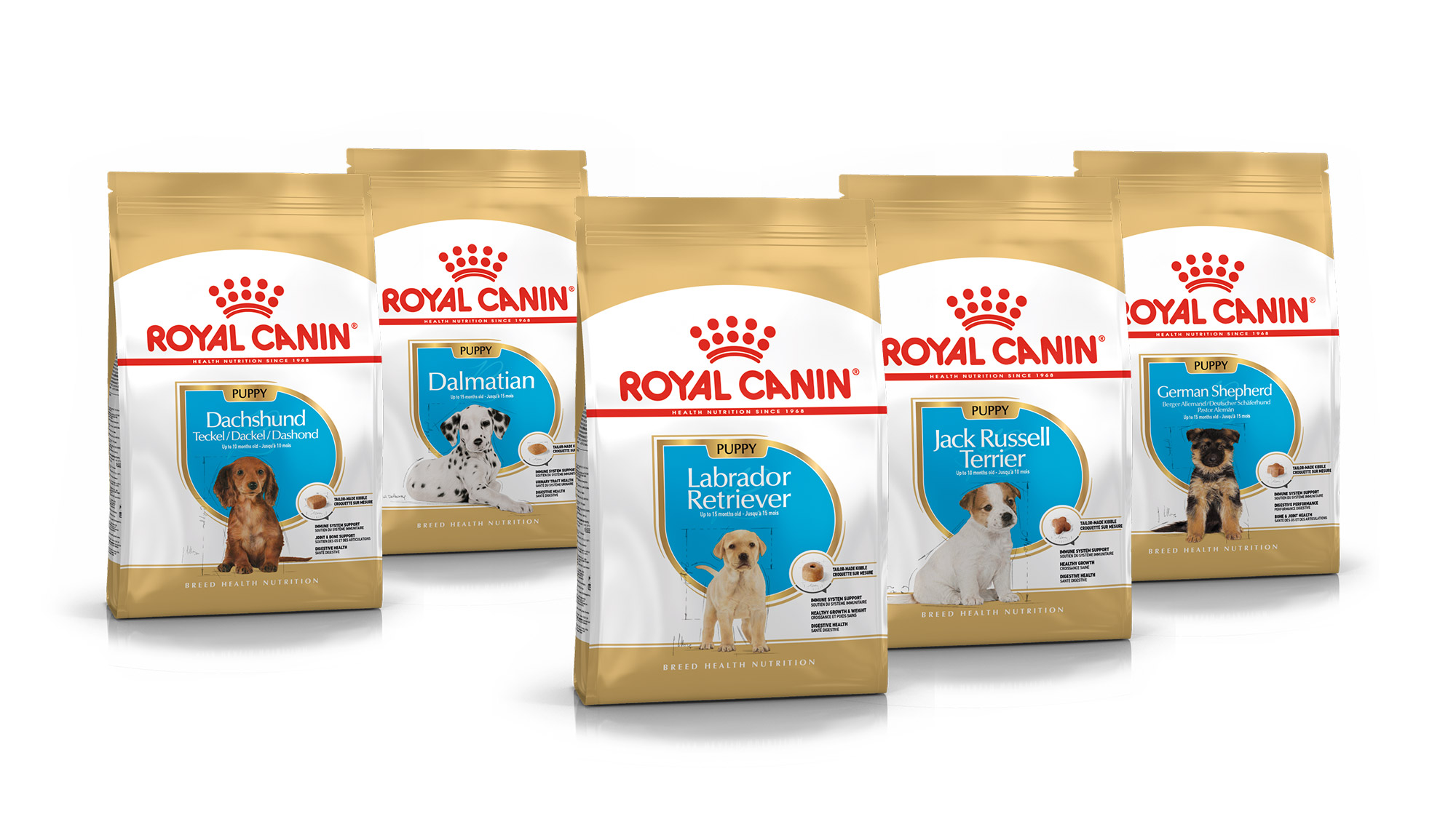 ROYAL CANIN Nahrungen für Hunde