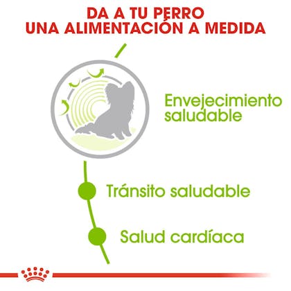 BENEFICIOS