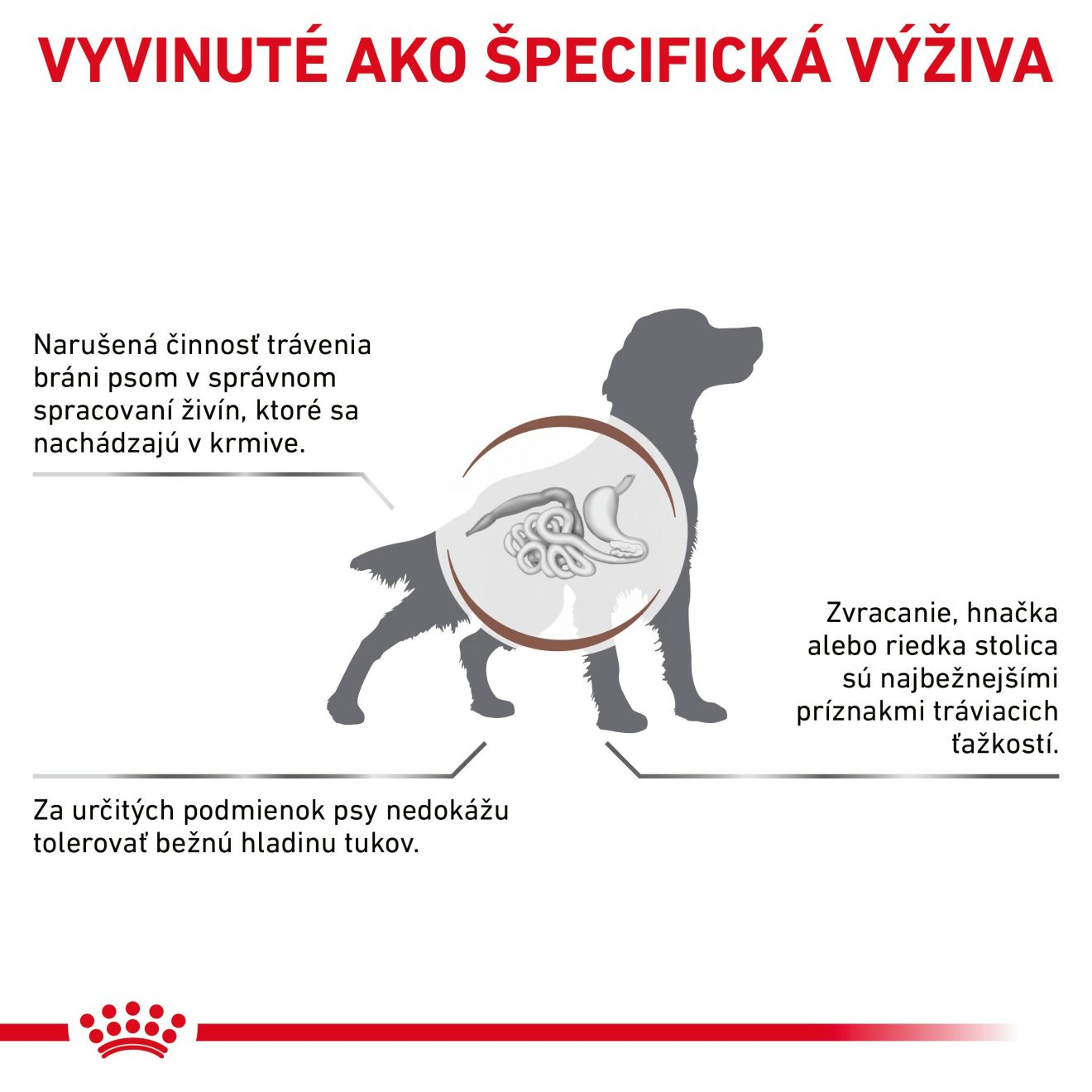 ROYAL CANIN Gastrointestinal Low Fat Dry granule so zníženým obsahom tuku pre dospelých psov s ochorením tráviaceho traktu