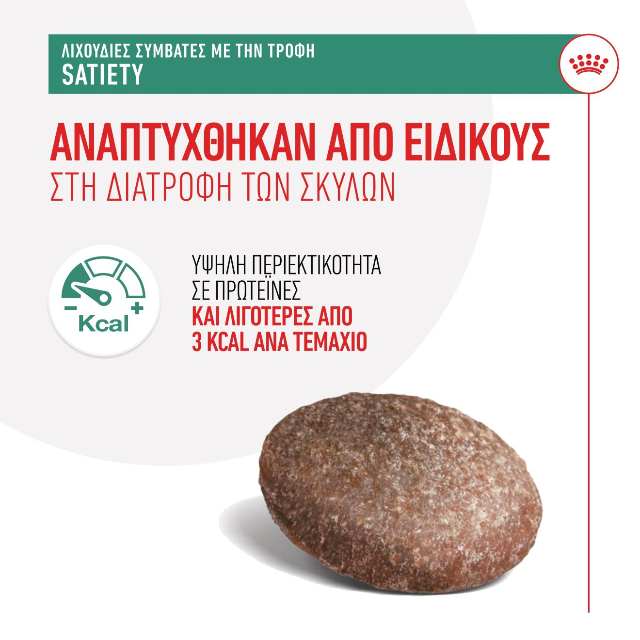 TREATS COMPATIBLE WITH SATIETY DIETS