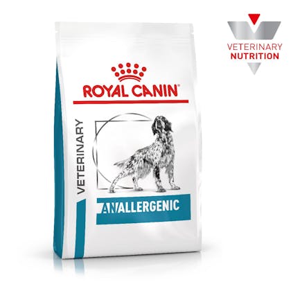 Anallergenic royal 2025 canin dog