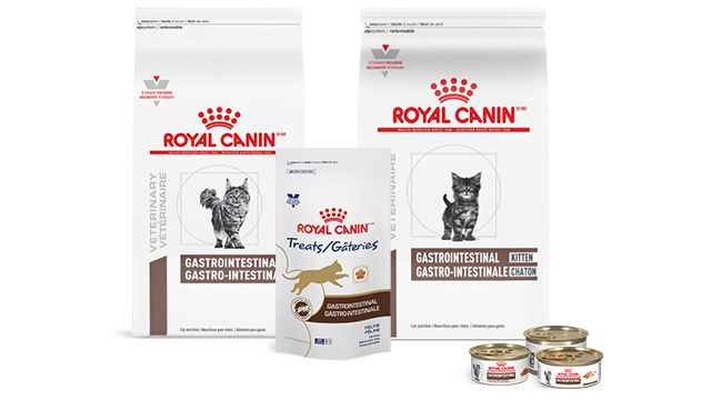 Packshot of Royal Canin Gastrointestinal cat diets