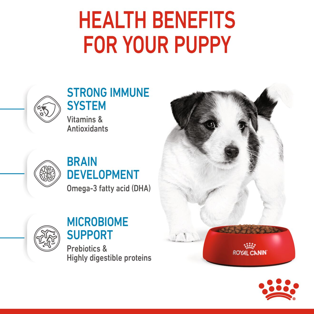 Royal canin store puppy grain free