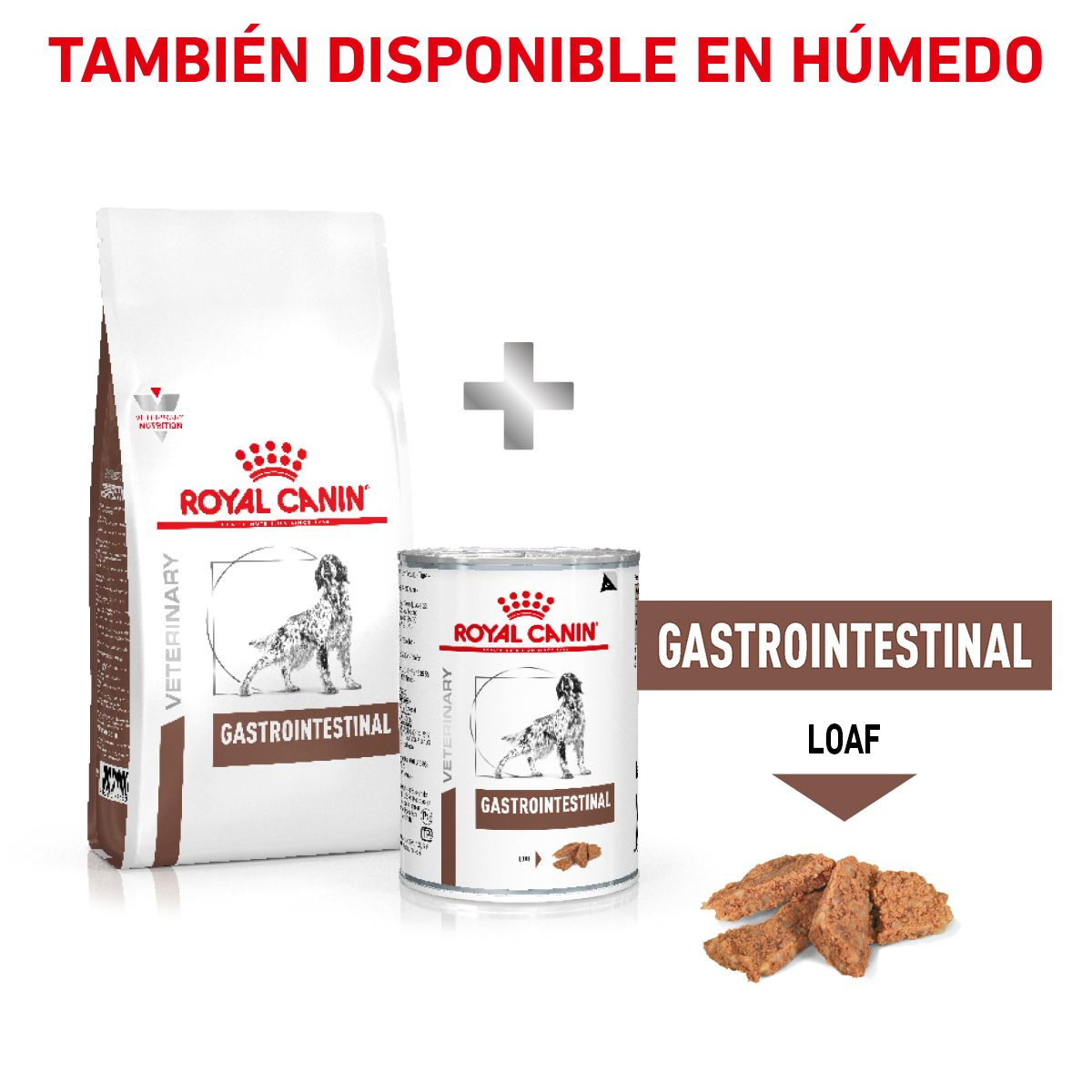 Gastro-Intestinal