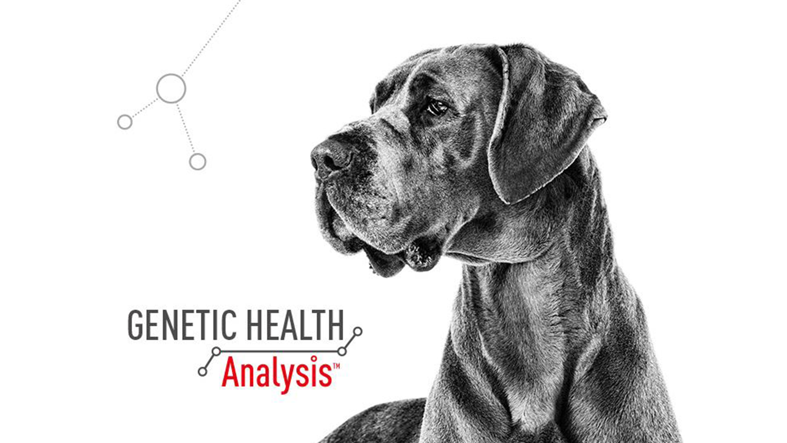 Royal canin hot sale genetic testing