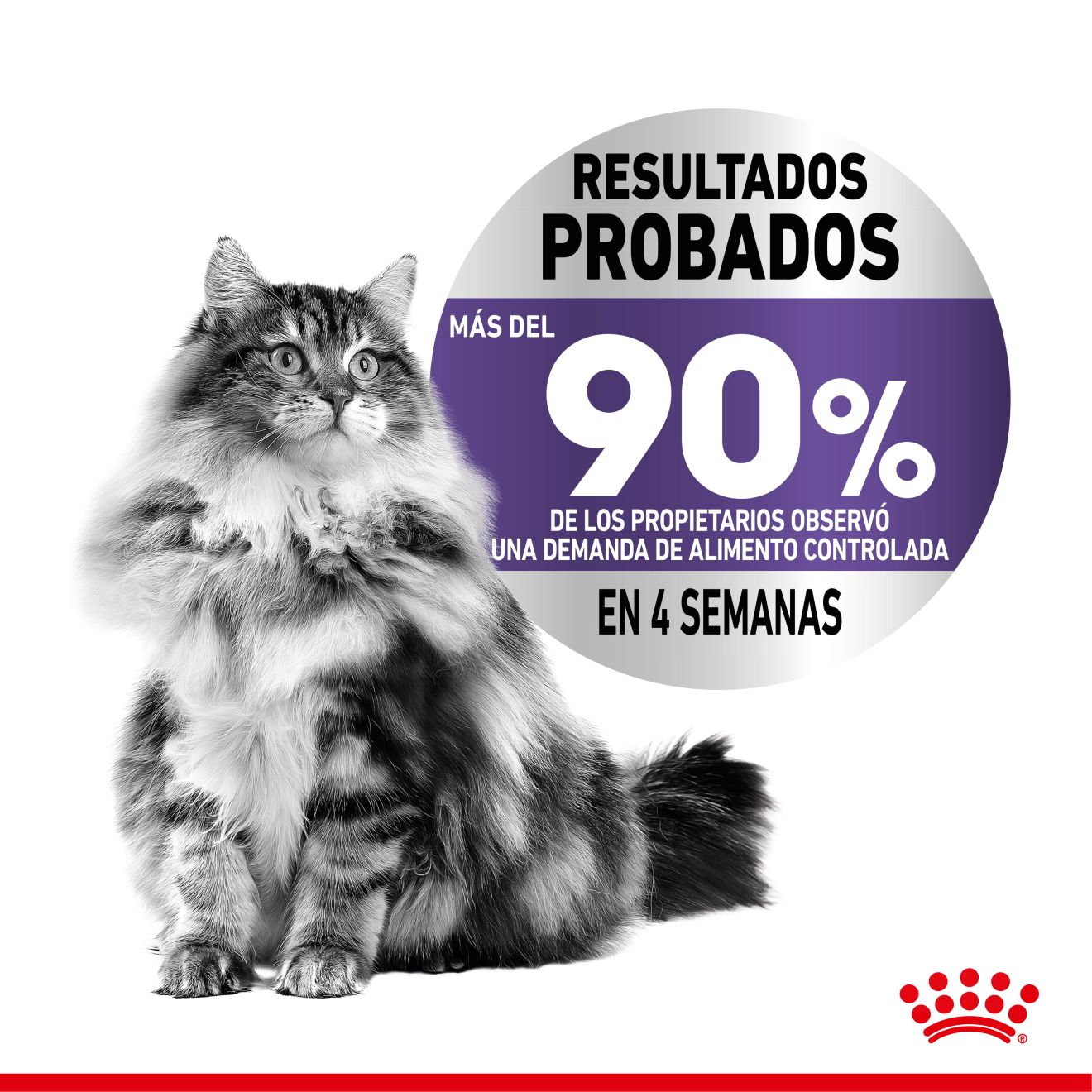 Appetite Control Care Gato