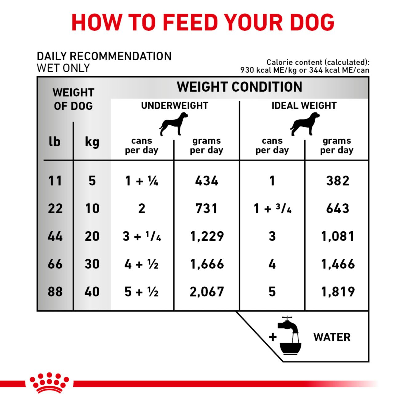 Royal canin best sale serving size