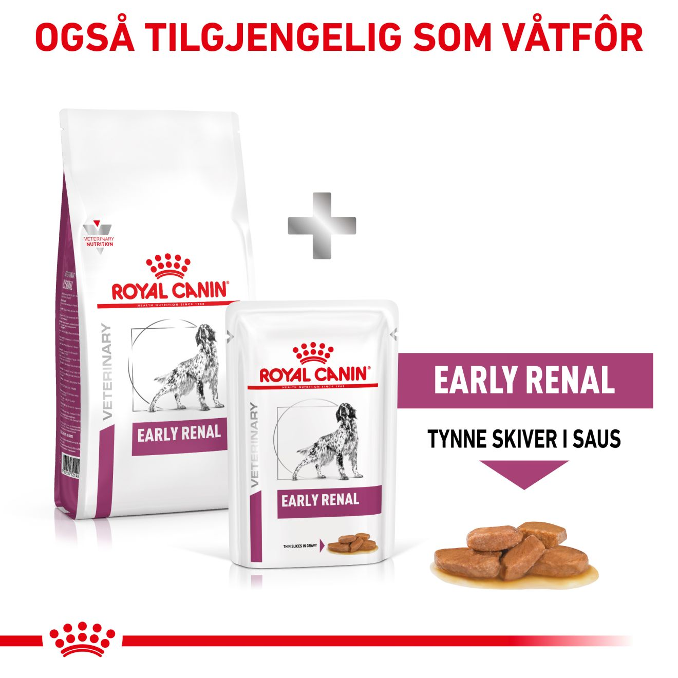 Vital Early Renal