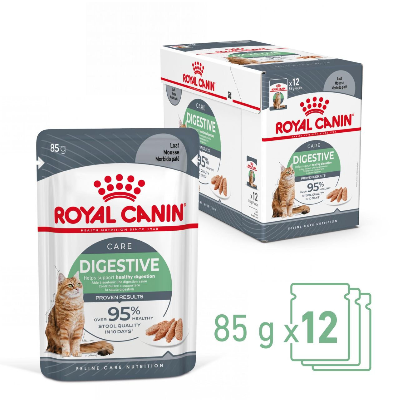 DIGESTIVE CARE πατέ 