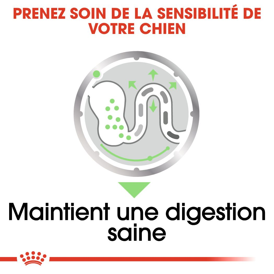 Digestive Care Loaf (pâtée en sauce)
