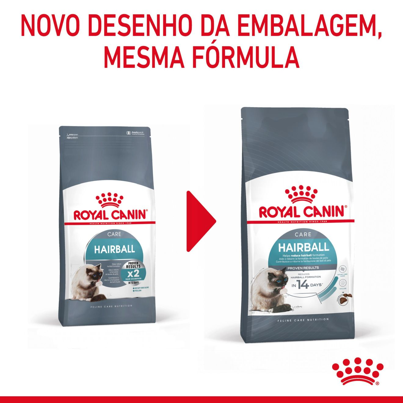 Hairball Care