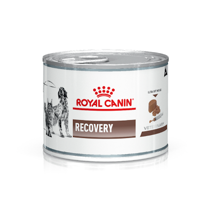 AR-L-Producto-Recovery-CanineFeline-Veterinary-Health-Nutrition-Humedo