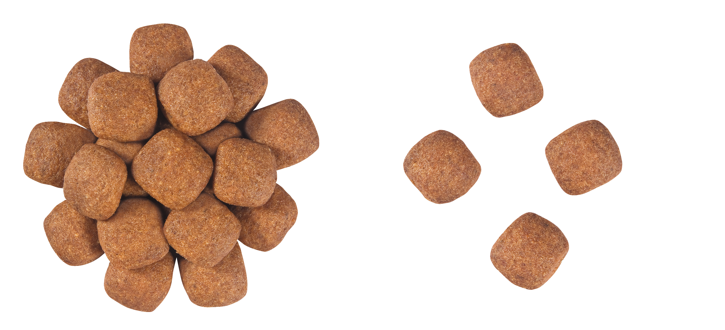 royal canin mature senior consult