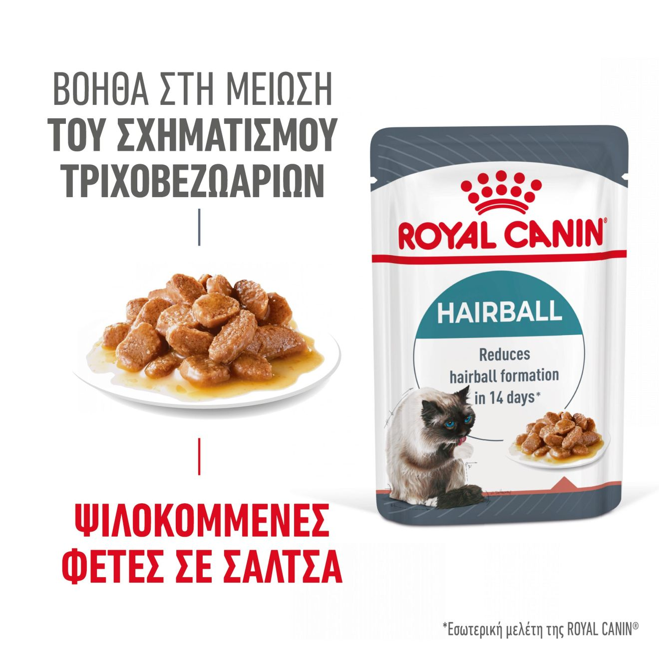 HAIRBALL CARE Λεπτές φέτες σε σάλτσα