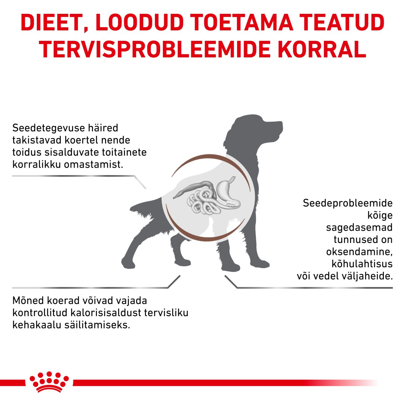 Royal Canin Gastrointestinal Moderate Calorie Dog kuivtoit