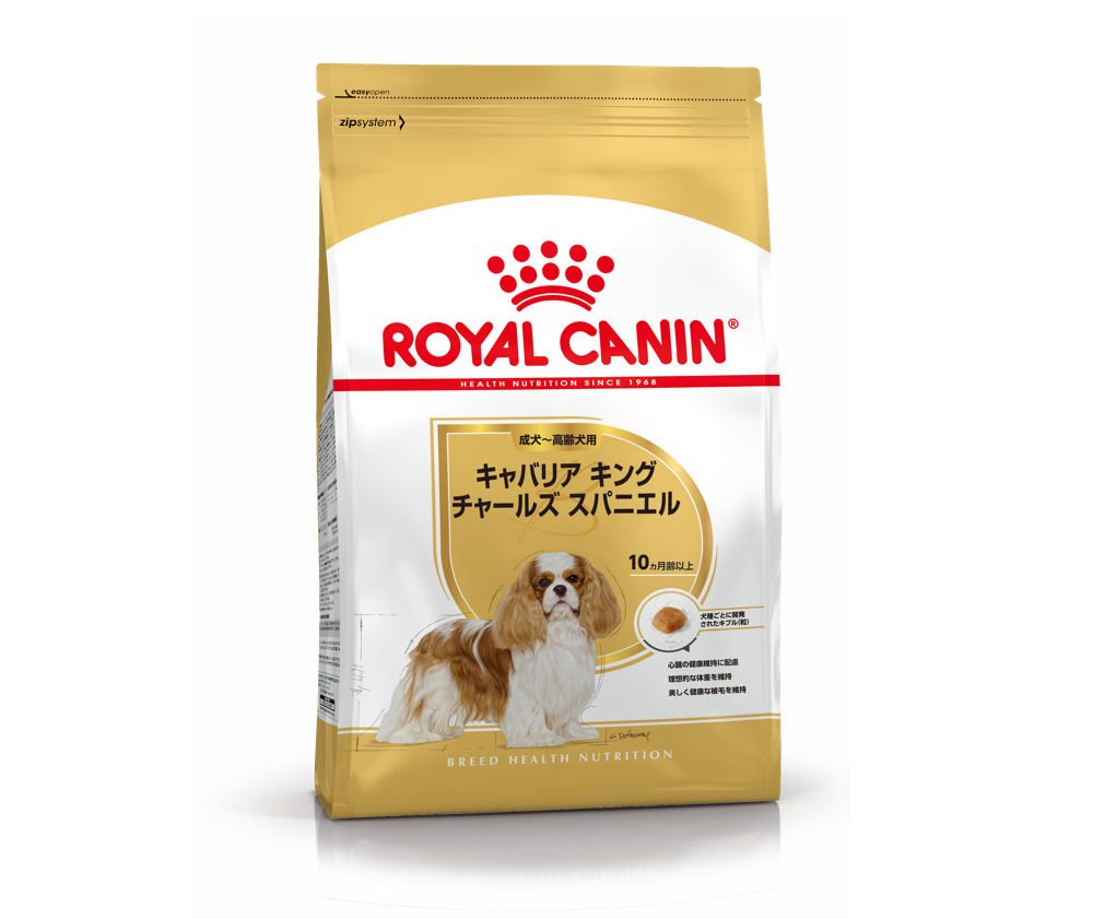 キャバリア キング チャールズ 成犬～高齢犬用