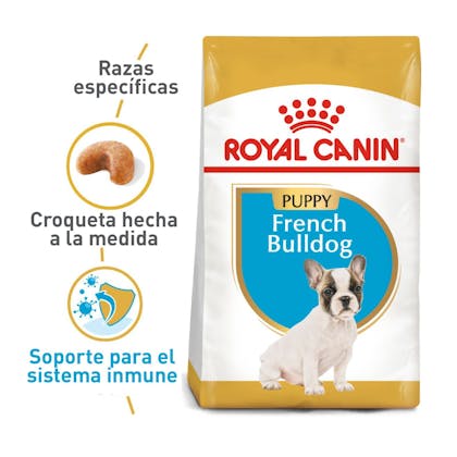FRENCH BULLDOG PUPPY COLOMBIA 1