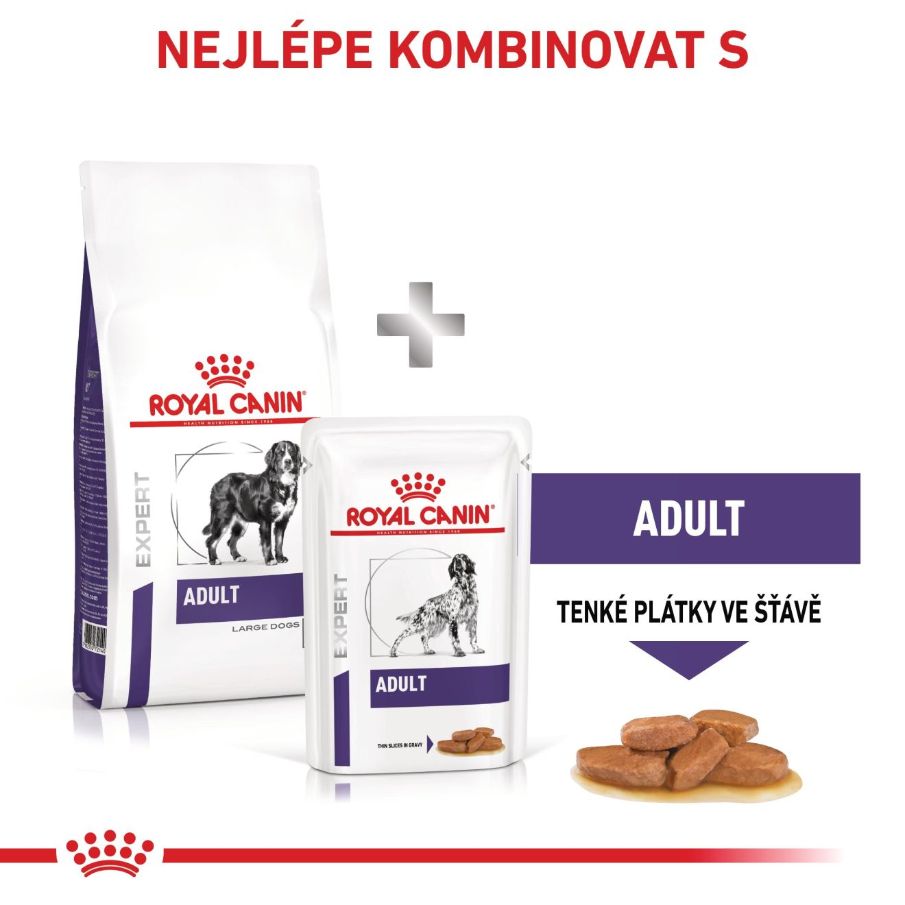 VHN  Adult large dog