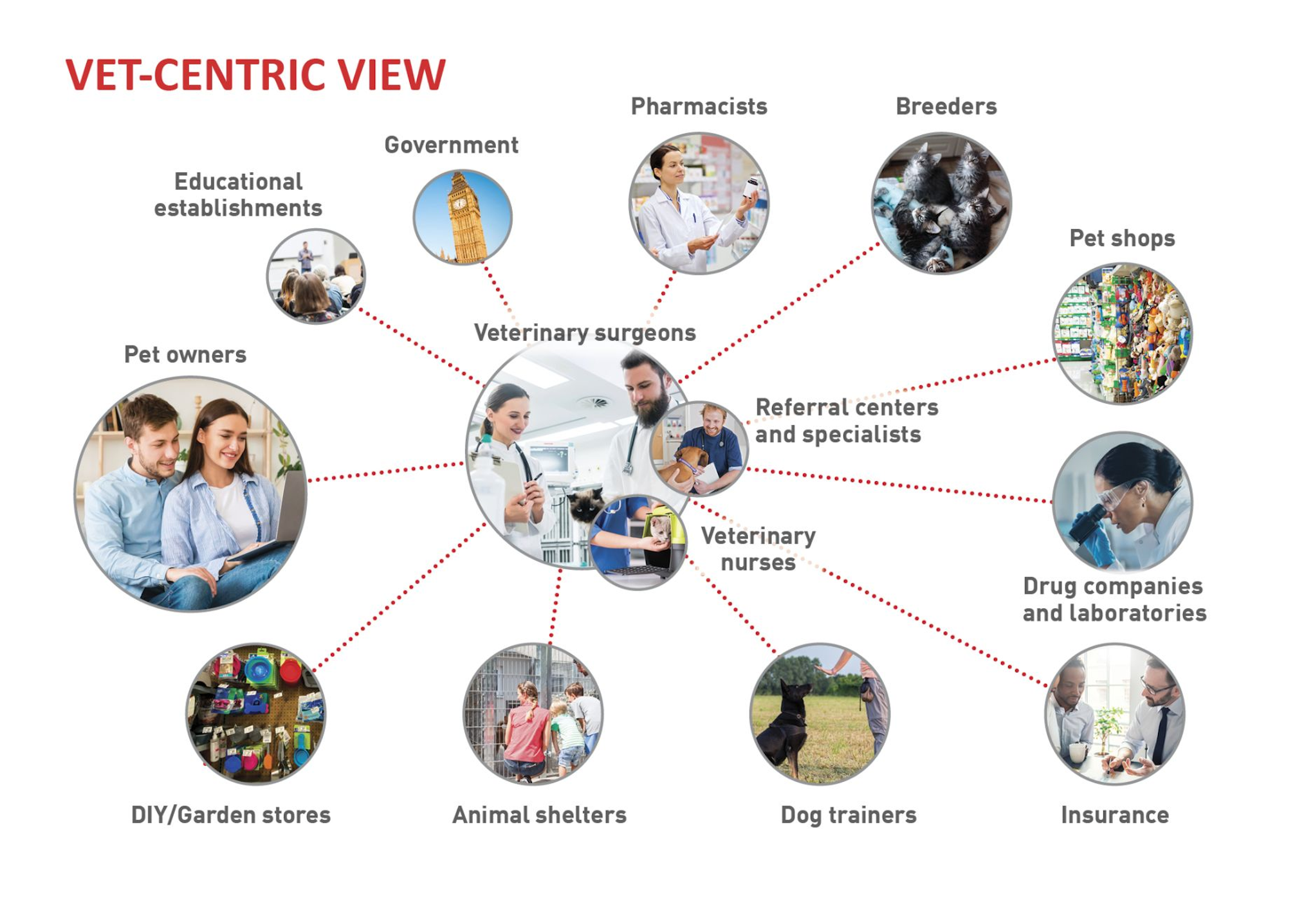 The various stakeholders as seen from the veterinary-centered viewpoint