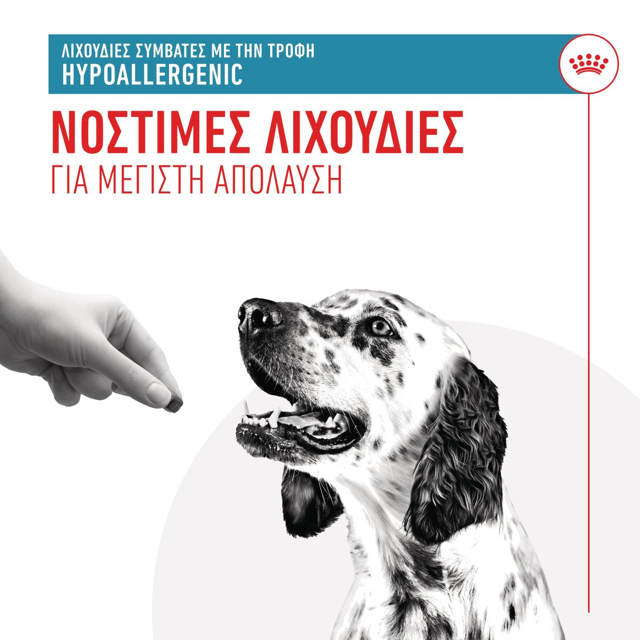 TREATS COMPATIBLE WITH HYPOALLERGENIC DIETS