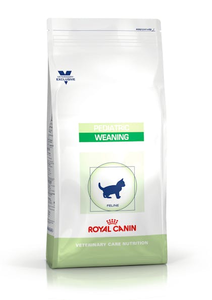 Royal hot sale canin clinic