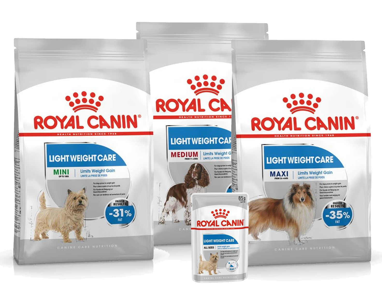 Light Weight Care for mini, medium and maxi dogs