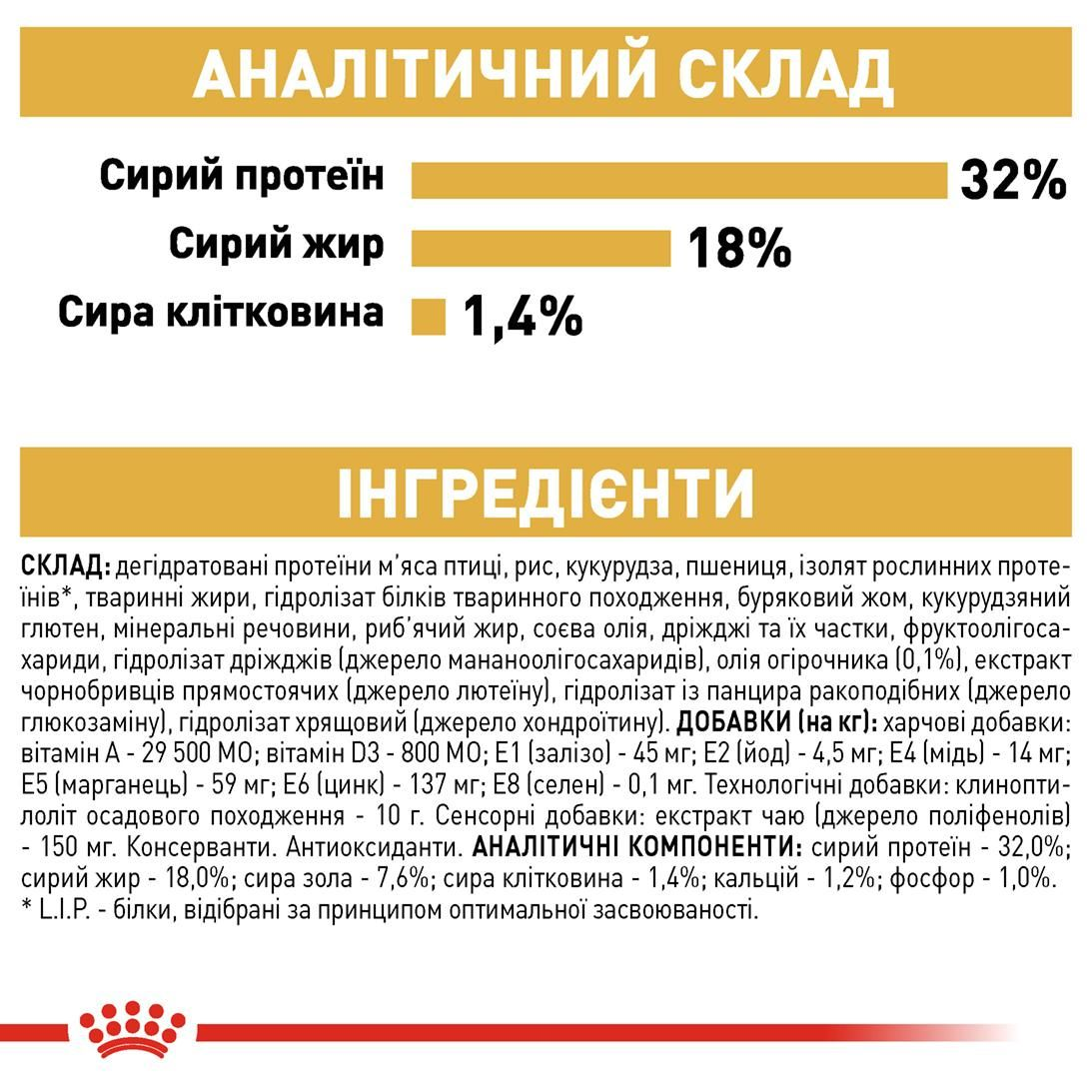 Jack Russell Terrier Puppy