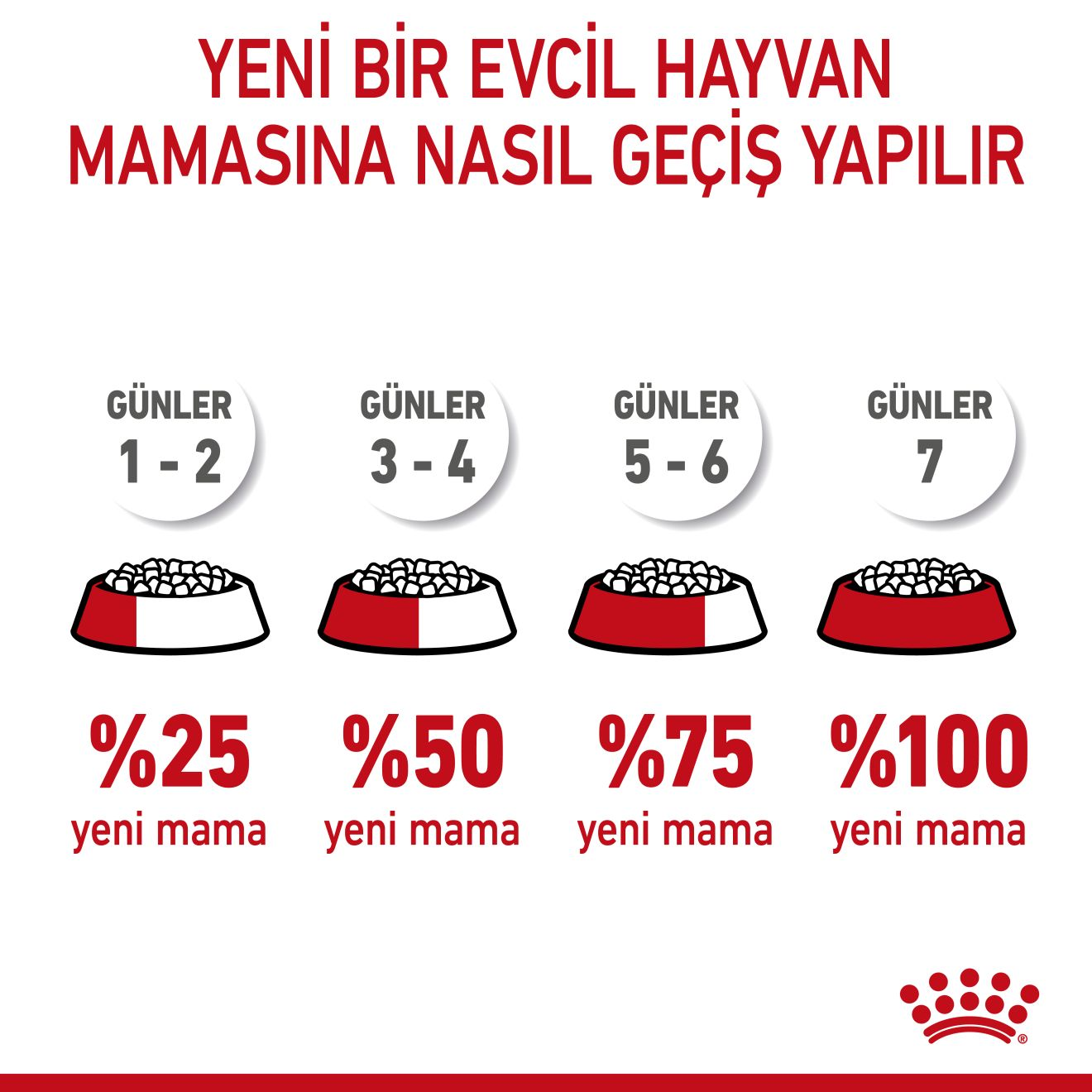 Kitten Sterilised Yavru Kedi Kuru Maması