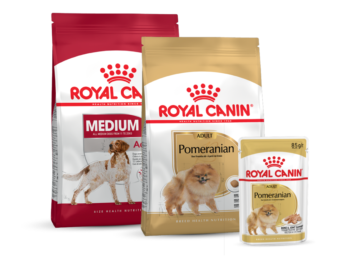 Nourriture pour chiens