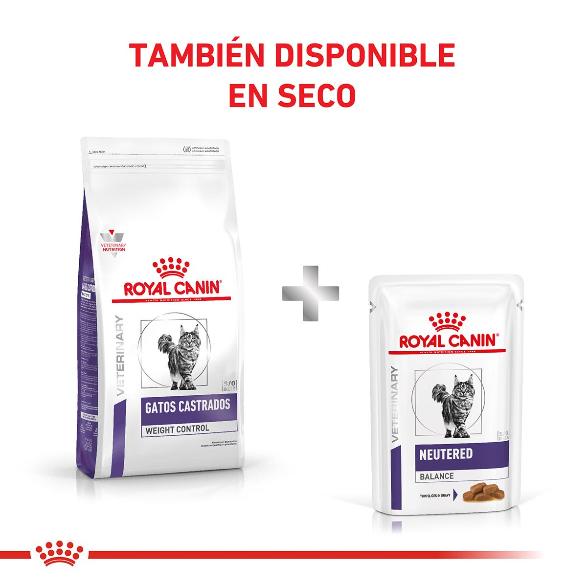 Gatos Castrados - Neutered Balance