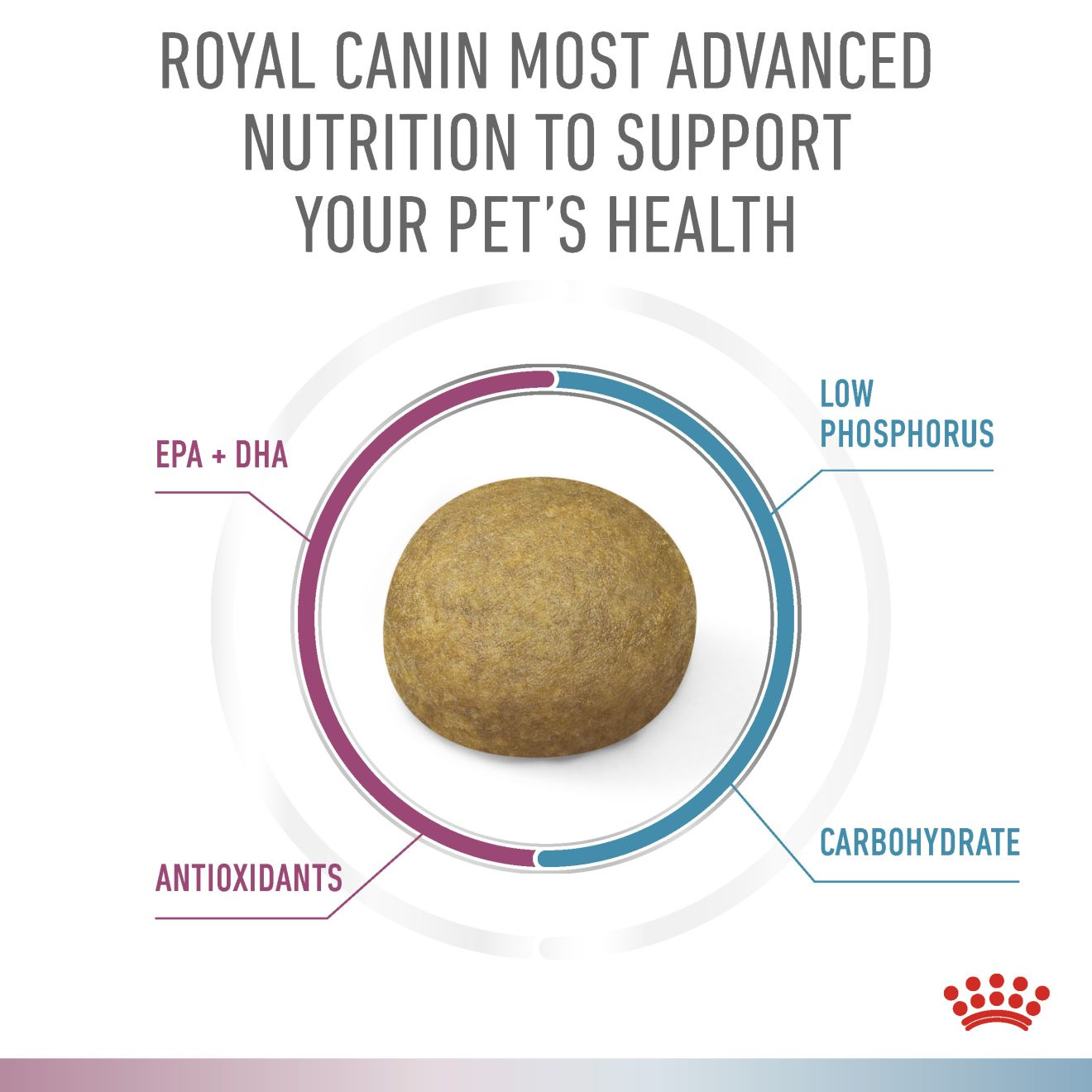 Renal + Hypoallergenic