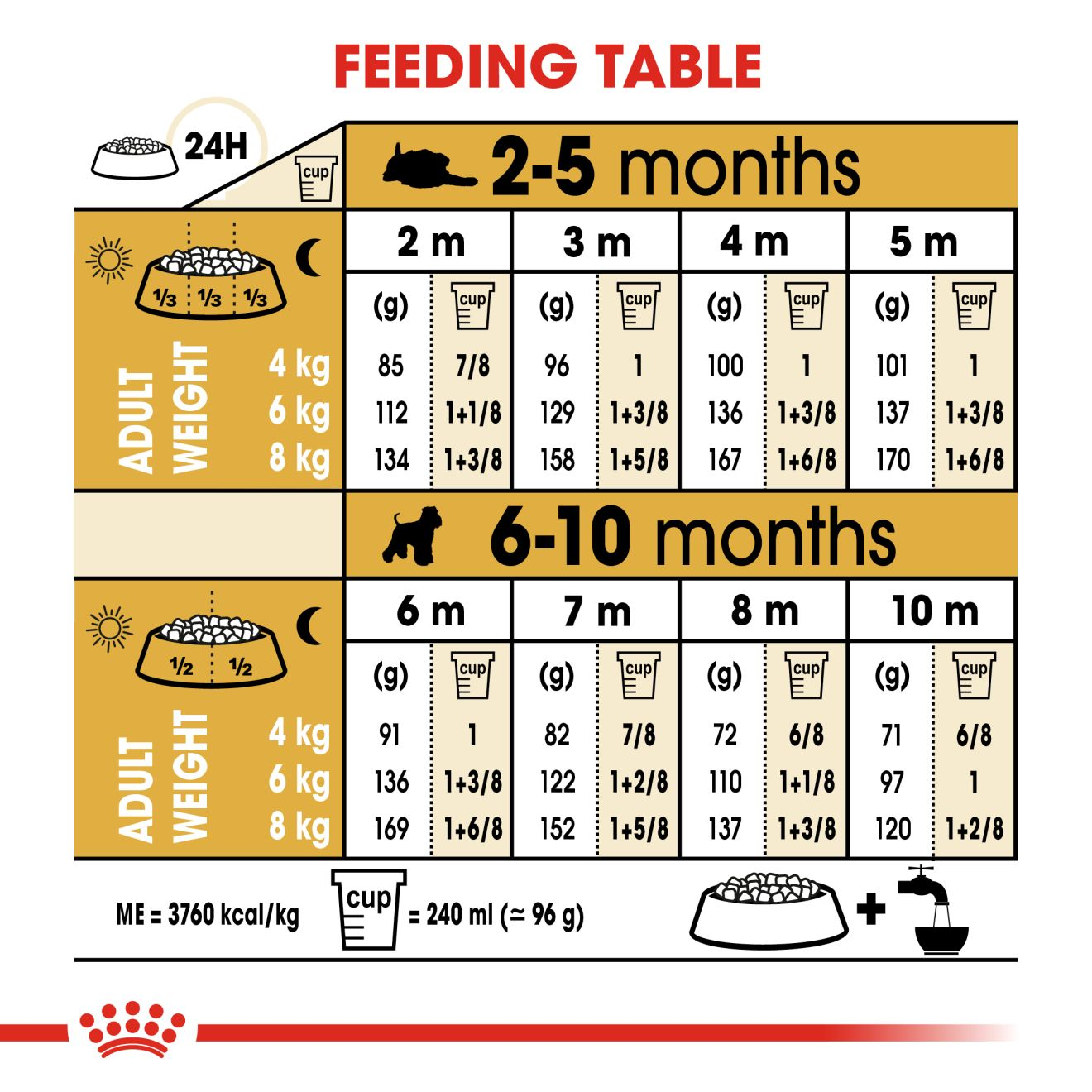 How Often To Feed A Miniature Schnauzer Puppy
