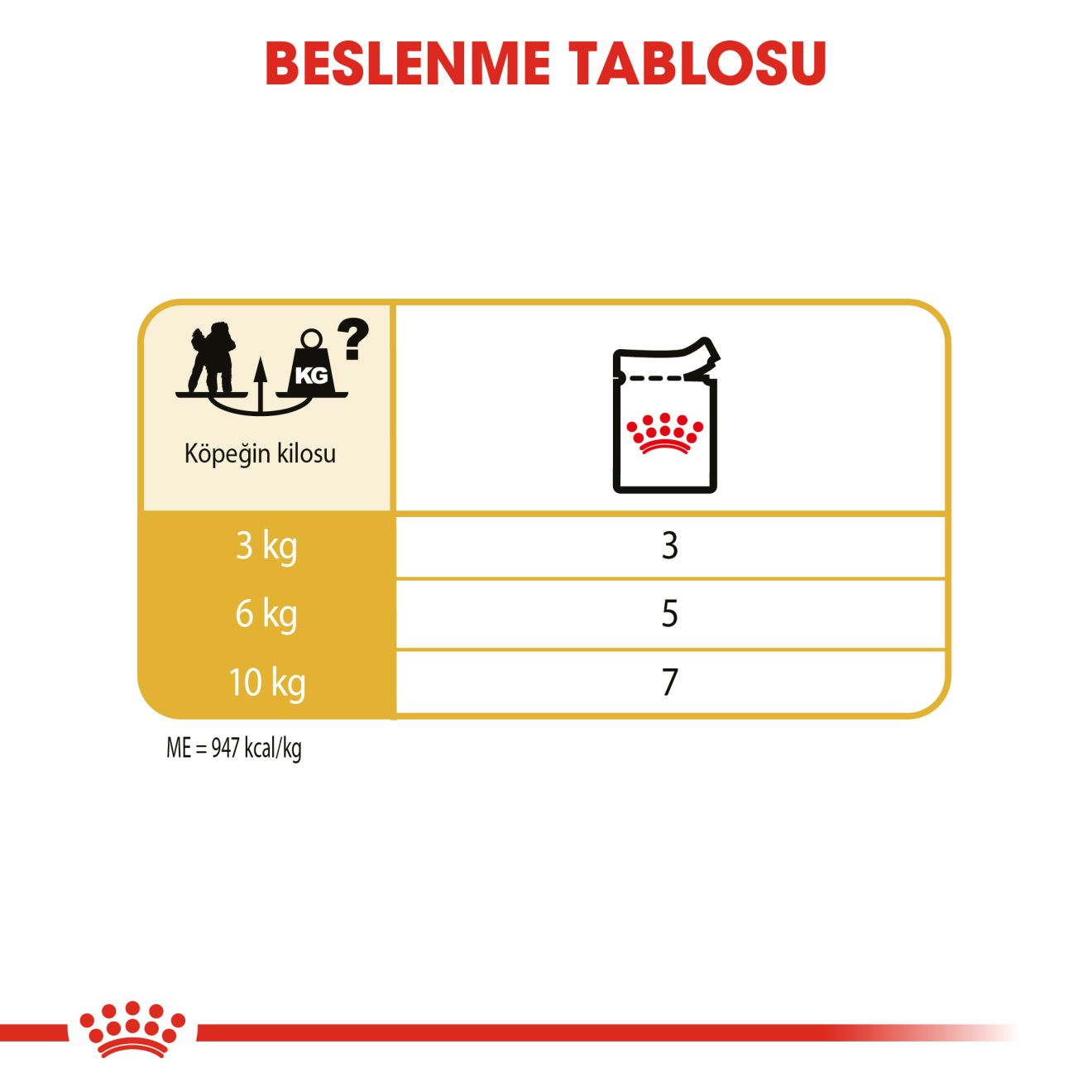 Poodle Yetişkin Köpek Yaş Maması