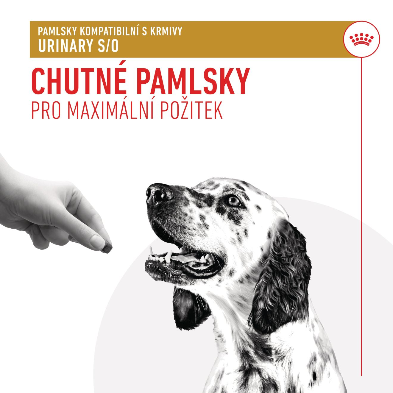 VHN Dog Urinary Treats 