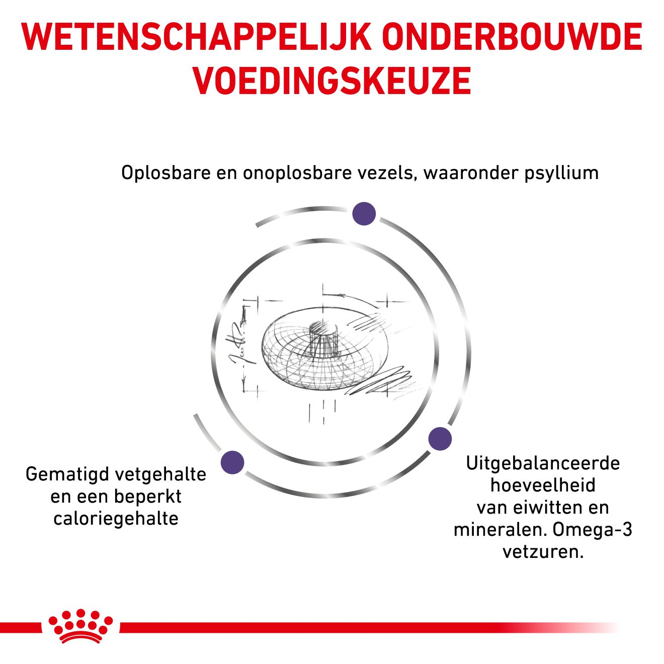 Neutered Adult Large Dogs 