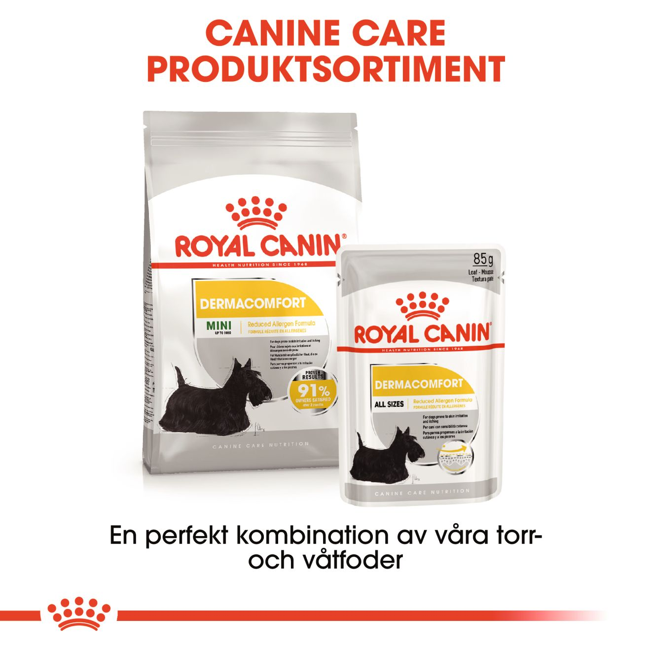 Mini Dermacomfort - torrfoder hund | Royal Canin Shop | Royal Canin SE