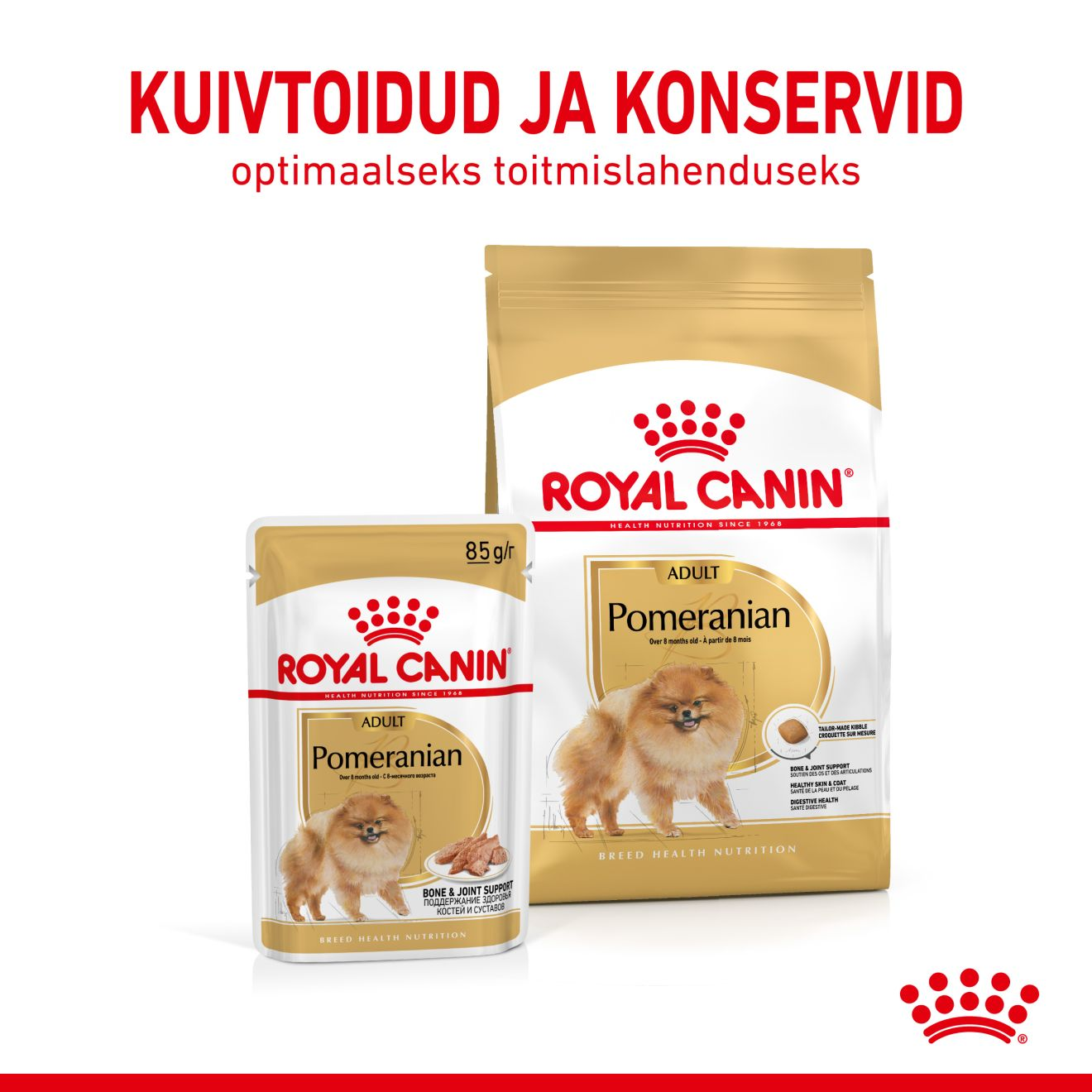 Royal Canin Pomeranian Adult konserv