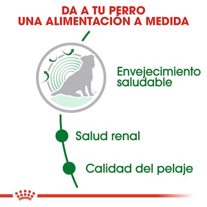 BENEFICIOS