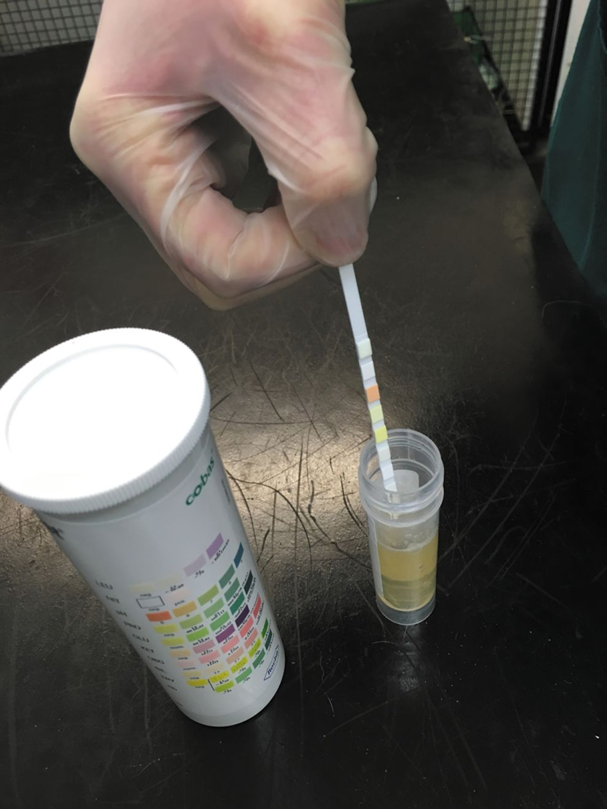Urinary dipsticks are inexpensive and offer a simple qualitative and semi-quantitative test.