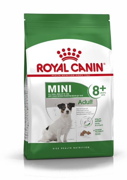 Banyan Uittreksel Afwezigheid Mini adult 8+ dry | Royal Canin