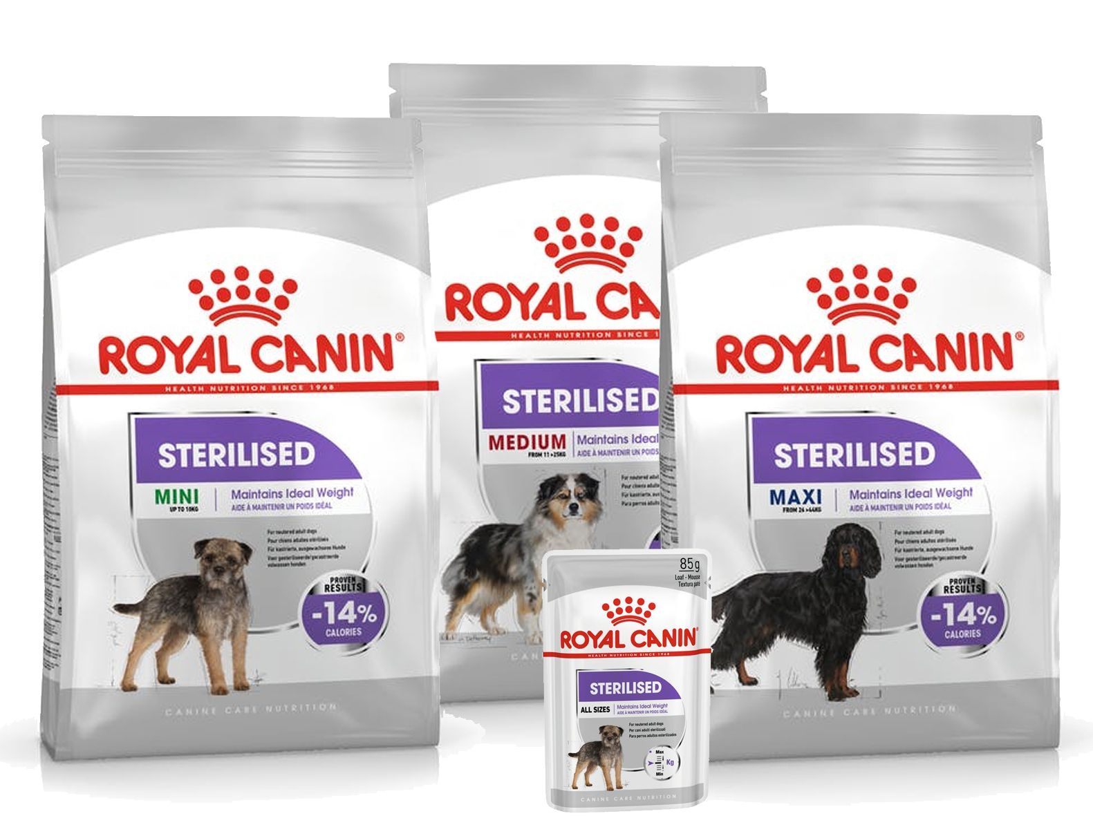 Sterilised for Mini, Medium and Maxi dogs