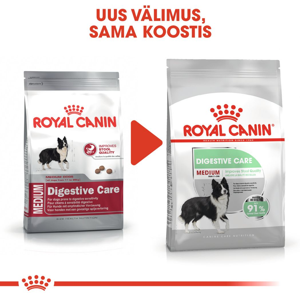 Royal Canin Medium Digestive Care kuivtoit