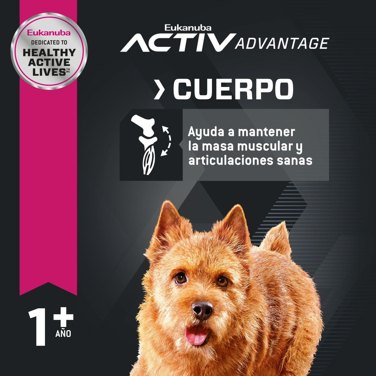 Eukanuba™ Adult Small Breed